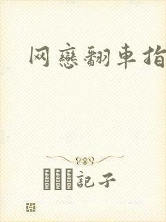 网恋翻车指南封面