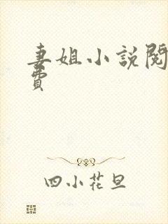 妻姐小说阅读免费