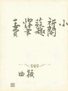 王悍苏祈小说免费笔趣阁