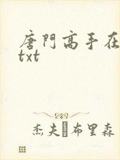 唐门高手在异世txt封面