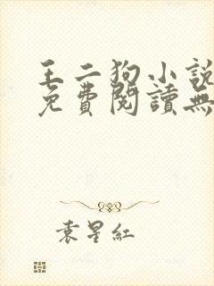 王二狗小说全文免费阅读无弹窗
