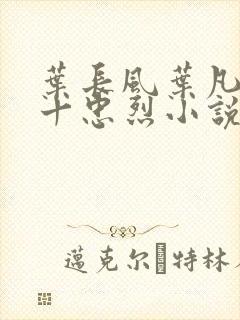 叶长风叶凡一门十忠烈小说名字