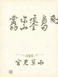 当你像鸟飞往你的山金句