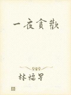 一夜贪欢