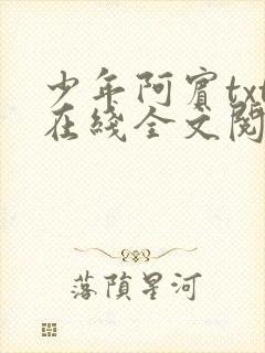 少年阿宾txt在线全文阅读