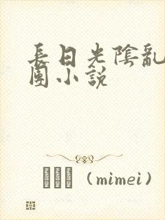 长日光阴乱作一团小说封面