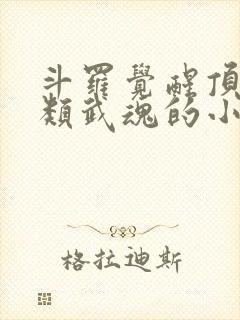 斗罗觉醒顶级剑类武魂的小说