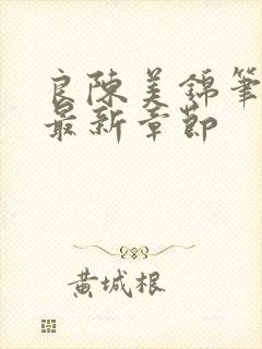 良陈美锦笔趣阁最新章节