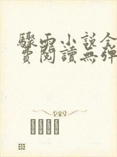 骤雨小说全文免费阅读无弹窗