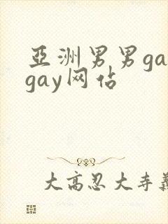 亚洲男男gaygay网站