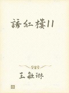 诱红楼11