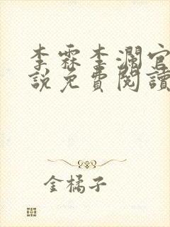 李霖李澜官场小说免费阅读