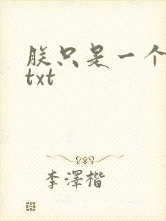 朕只是一个演员txt封面