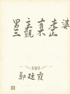 男主有老婆出轨三观不正