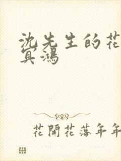 沈先生的花式调冥鸿