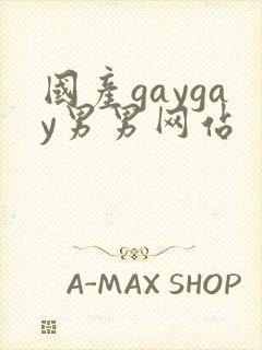 国产gaygay男男网站
