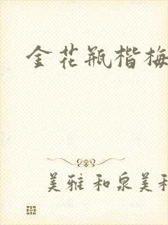 金花瓶楷梅花2封面