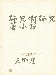 师兄啊师兄的原著小说