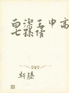 白洁王申高义老七孙倩