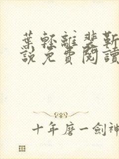 叶轻离裴靳墨小说免费阅读无弹窗