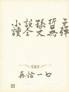 小说孙哲免费阅读全文无弹窗