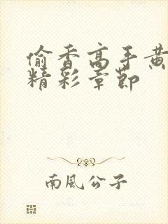 偷香高手黄蓉的精彩章节