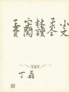 王宇林柔小说免费阅读全文最新章节