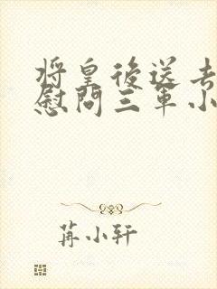 将皇后送去军营慰问三军小说封面