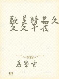 欧美精品久久久久久午夜