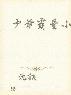 少爷霸爱小丫头封面