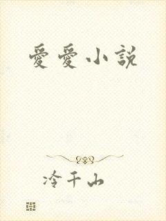 爱爱小说