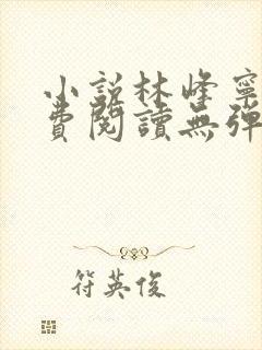 小说林峰宁欣免费阅读无弹窗