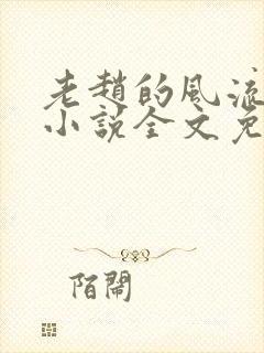 老赵的风流人生小说全文免费阅读