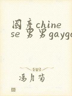 国产chinese 男男gaygay