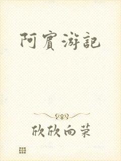 阿宾游记
