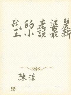 我的老婆丽玲女王小说最新章节更新