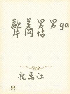 欧美男男gay片网站