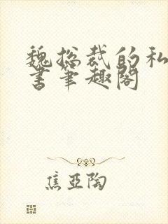 魏总裁的私人秘书笔趣阁