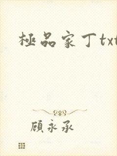 极品家丁txt