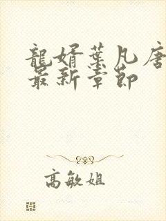 龙婿叶凡唐若雪最新章节