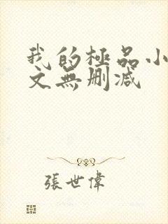 我的极品小姨全文无删减