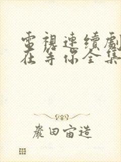 电视连续剧妈妈在等你全集