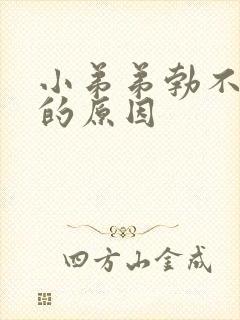 小弟弟勃不起来的原因