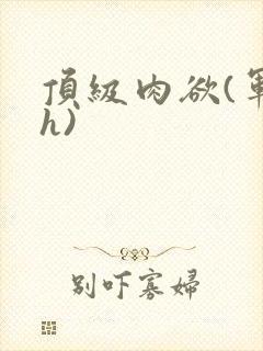 顶级肉欲(军高h)