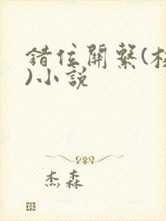 错位关系(校园)小说