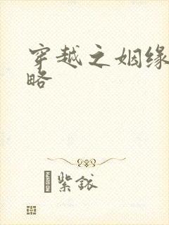 穿越之姻缘劫攻略