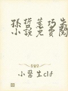 孙哲叶巧朱颜的小说免费阅读