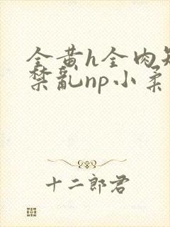 全黄h全肉短篇禁乱np小柔