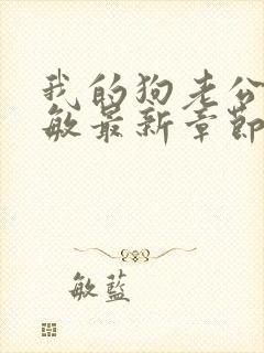 我的狗老公张淑敏最新章节免费阅读