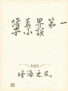 修真界第一病秧子小说